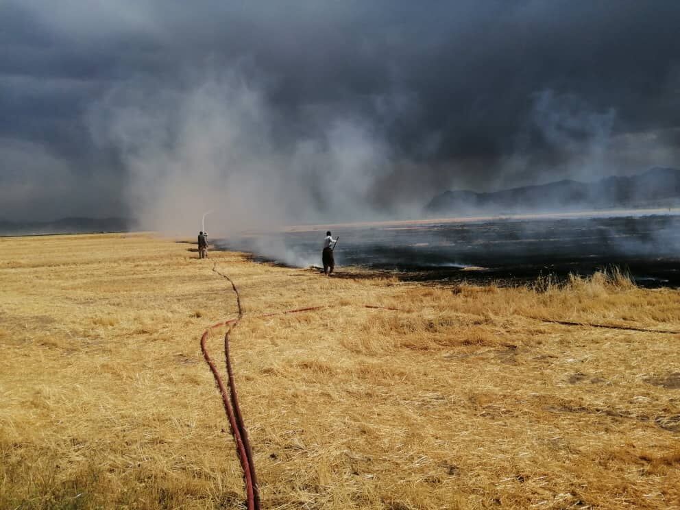 آتش‌سوزی محصولات کشاورزی در شهرکرد مهار شد
