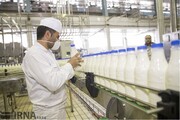 افزایش ۱۵۰ هزار تن ظرفیت فرآوری کشاورزی در کرمانشاه