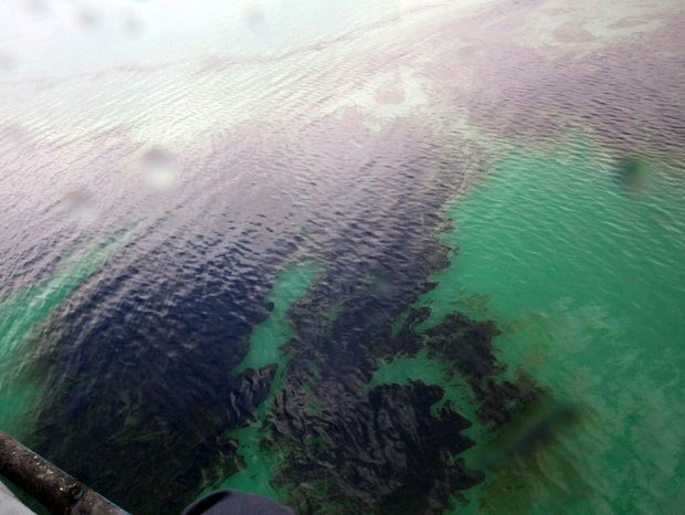 برآورد خسارت محیط‌زیستی لکه‌های نفتی خلیج‌فارس در حال انجام است 
