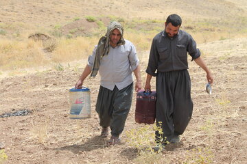 زمزمه الفبای سادگی در زندگی عشایری