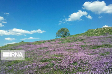 Nature tourism in northwestern Iran; Heris County