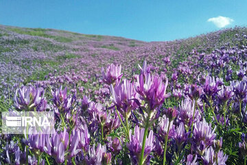 Nature tourism in northwestern Iran; Heris County