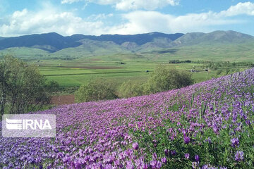 Nature tourism in northwestern Iran; Heris County