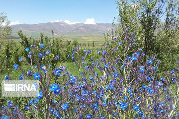 Nature tourism in northwestern Iran; Heris County