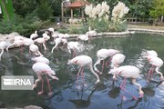 Birds Garden in Isfahan