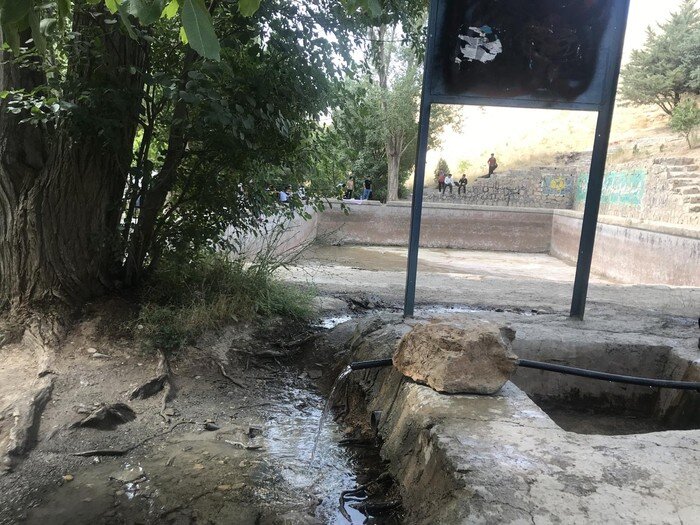 اشک سبزه از مرگ آب 4