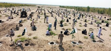 جدال مخالفان و حامیان سونامی کاشت نهال در پاکستان