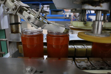 تولید عسل از کندو تا فرآوری در آذربایجان شرقی