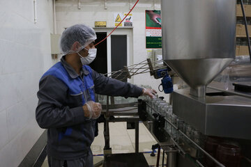 تولید عسل از کندو تا فرآوری در آذربایجان شرقی