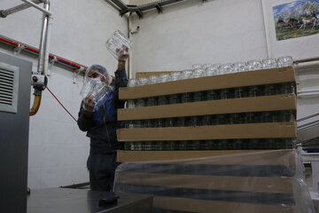 تولید عسل از کندو تا فرآوری در آذربایجان شرقی