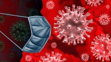 شناسایی گونه جهش یافته ویروس کرونا با همه گیری بالا و مرگ و میر پایین 