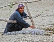 گاندو؛ نماد برکت و آبادانی در بلوچستان