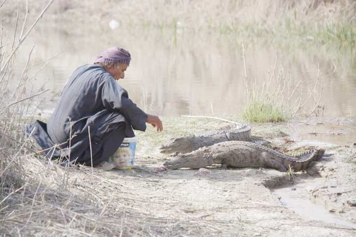 گاندو؛ نماد برکت و آبادانی در بلوچستان