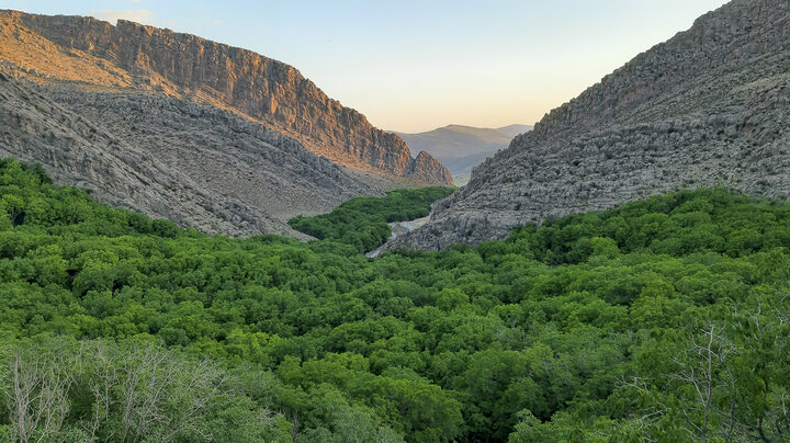 طبیعت زیبای روستای دشتک مرودشت فارس