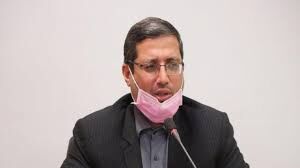 فرماندار گناباد: شوراهای اسلامی از دخالت در امور اجرایی بپرهیزند