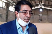 نرخ‌گذاری محصولات توسط واسطه‌ها چالش جدی بخش کشاورزی است