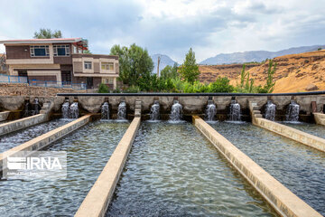 Fish farming in southwestern Iran; Chaharmahal Va Bakhtiari Prov.