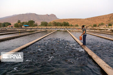 Fish farming in southwestern Iran; Chaharmahal Va Bakhtiari Prov.