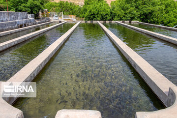 Fish farming in southwestern Iran; Chaharmahal Va Bakhtiari Prov.