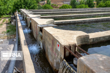 Fish farming in southwestern Iran; Chaharmahal Va Bakhtiari Prov.