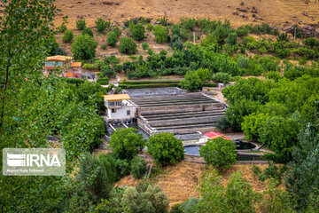 Fish farming in southwestern Iran; Chaharmahal Va Bakhtiari Prov.