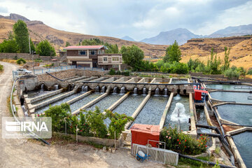 Fish farming in southwestern Iran; Chaharmahal Va Bakhtiari Prov.