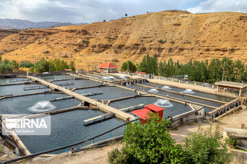 Fish farming in southwestern Iran; Chaharmahal Va Bakhtiari Prov.