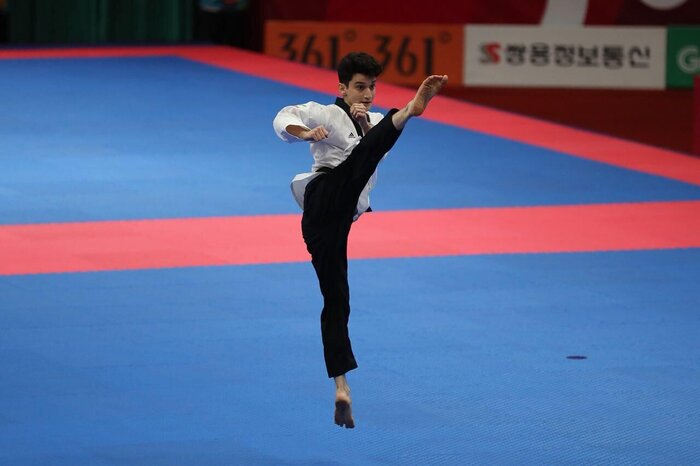 Taekwondo : les Iraniens brillent dans les compétitions en ligne internationales