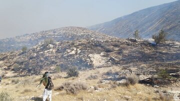 آتش‌سوزی ارتفاعات افزر قیر و کارزین پس از دو روز مهار شد