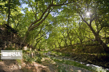 Nature and tourist resort in west of Tehran; Alborz Prov.