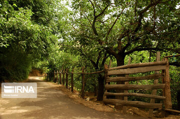 Nature and tourist resort in west of Tehran; Alborz Prov.