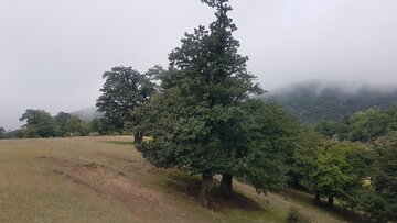 سفر وزیر میراث فرهنگی به شاهرود