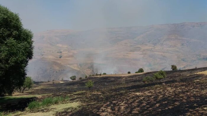 ۱۱هکتار از اراضی کوهستانی آمل در آتش سوخت