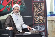 معضلات اجتماعی با استفاده از مکتب امام حسین(ع) رفع می‌شود