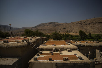 برداشت یاقوت سرخ در روستای «ده‌حوض» ایذه