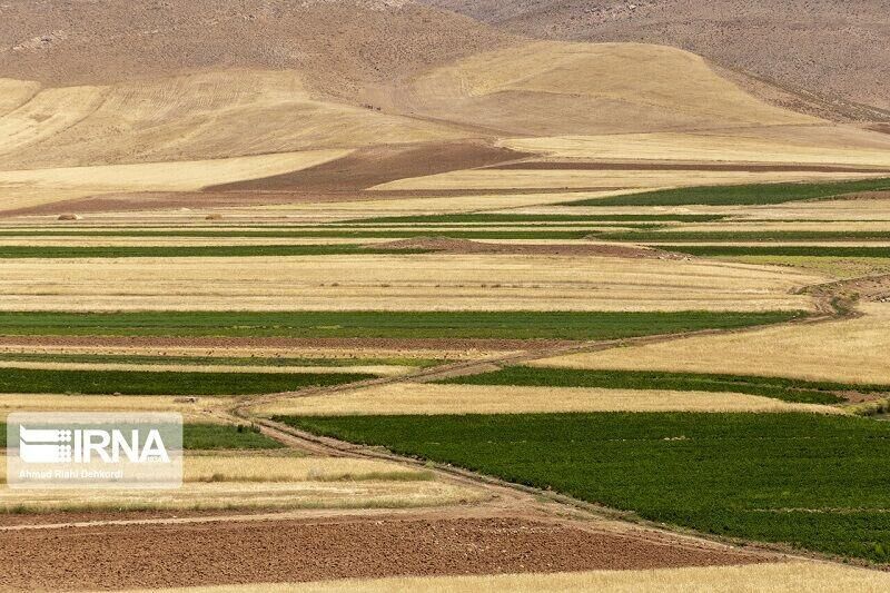 822 هزار هکتار اراضی کشاورزی کردستان زیر پوشش سیاک قرار گرفت