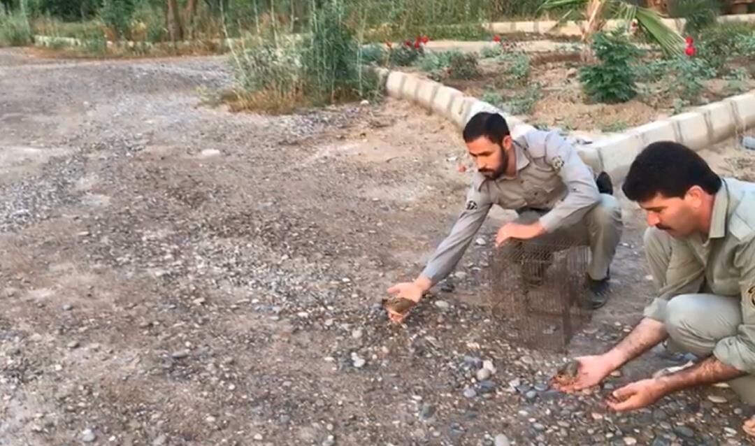 صیادان خارجی در پارک ملی دز دستگیر شدند