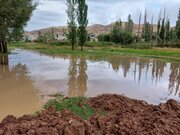 ۱۰۰ خانوار ساردوییه کرمان در محاصره سیلاب قرار گرفتند