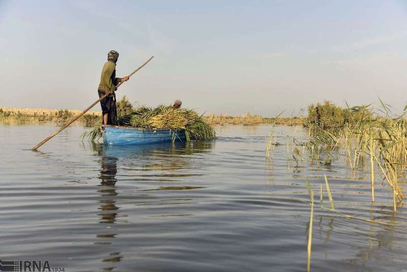 Iran, UN, EU launch joint project for revival of Hamoun Int'l Wetland