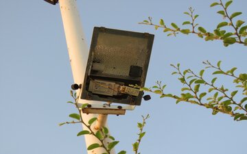 آرامگاه قیصر امین پور