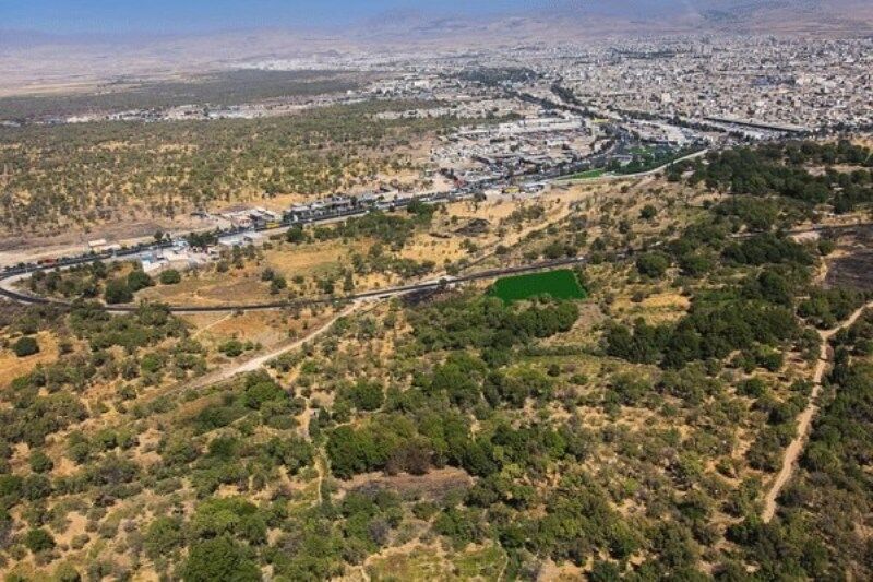 رمز حفظ باغستان سنتی قزوین ایجاد انگیزه برای مالکان آن است