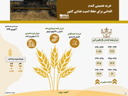 خرید تضمینی گندم اقدامی برای حفظ امنیت غذایی کشور