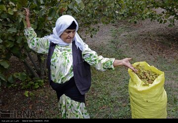 منطقه نمونه گردشگری فندقلو به بهره‌بردار بخش خصوصی واگذار می‌شود