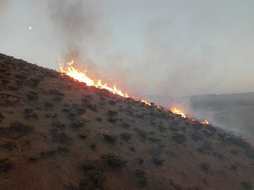 آتش‌ سوزی در پهنه‌های منابع طبیعی کوه بیل ارژن و تلاش برای فرونشاندن آتش 