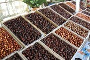 قیمت خرما در شرق کرمان با فراهم شدن زمینه صادرات افزایش می‌یابد