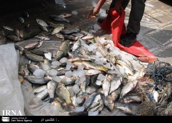۶ صیاد ماهی در شهرستان‌های ماهنشان و ابهر در دام محیط‌بانان افتادند