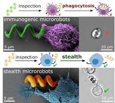 ابداع میکرورباتی که خود را از سیستم ایمنی بدن پنهان می‌کند