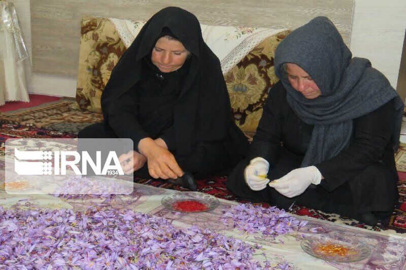 صندوق‌های خرد محلی زنان روستایی زنجان به 20 مورد رسید