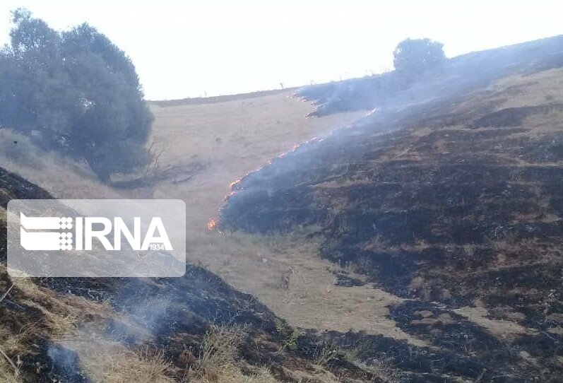 آتش سوزی مراتع روستای دره‌قبله سقز مهار شد