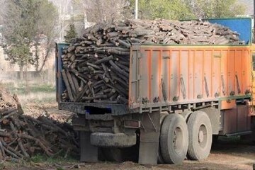 بیش از ۱۵ تُن چوب قاچاق در بوکان کشف شد